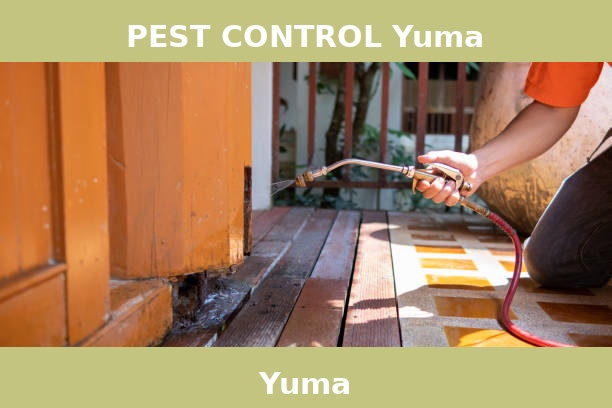 PEST CONTROL Yuma